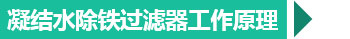 西安凝結(jié)水除鐵過濾器工作原理